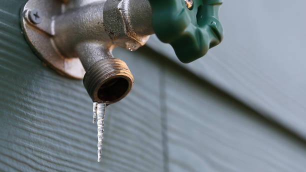 Best Water Softener Installation  in Glenwood, GA